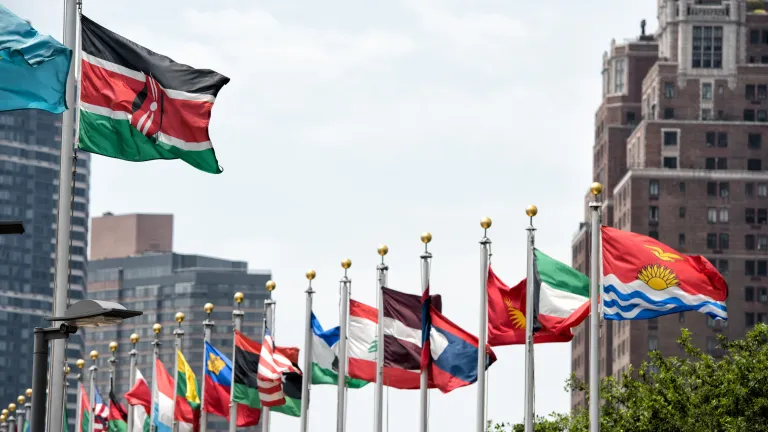 Bachelor of International Security